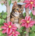 Pink Flowers & Spying Cat